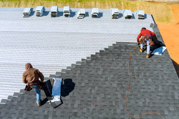 Best Roof Gutter Cleaning  in Roebling, NJ