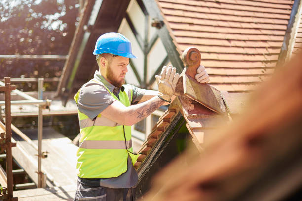Best Metal Roofing Contractor  in Roebling, NJ